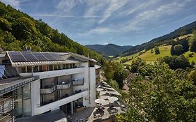 ElzLand Hotel Pfauen WELLNESS, SPA&VITALIS HOTEL